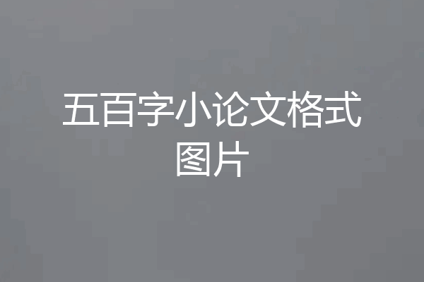 五百字小论文格式图片