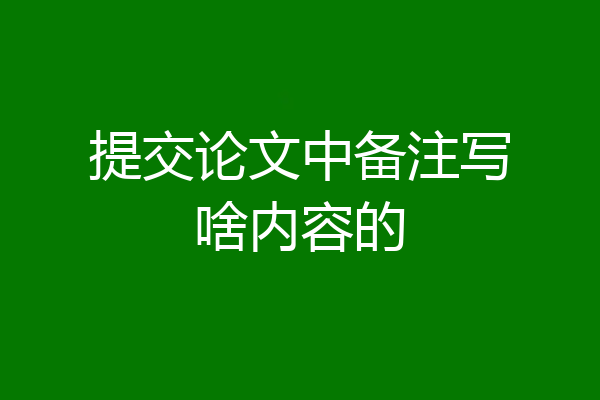 提交论文中备注写啥内容的