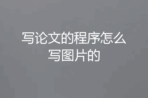 写论文的程序怎么写图片的