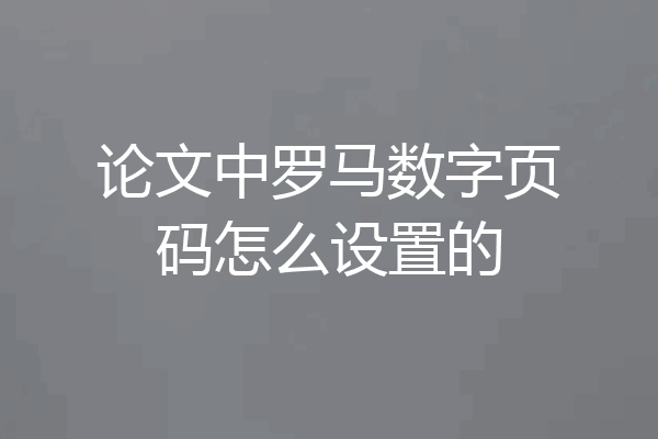 论文中罗马数字页码怎么设置的