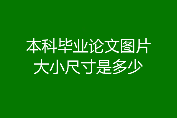 本科毕业论文图片大小尺寸是多少