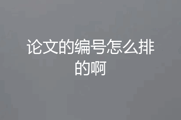 论文的编号怎么排的啊