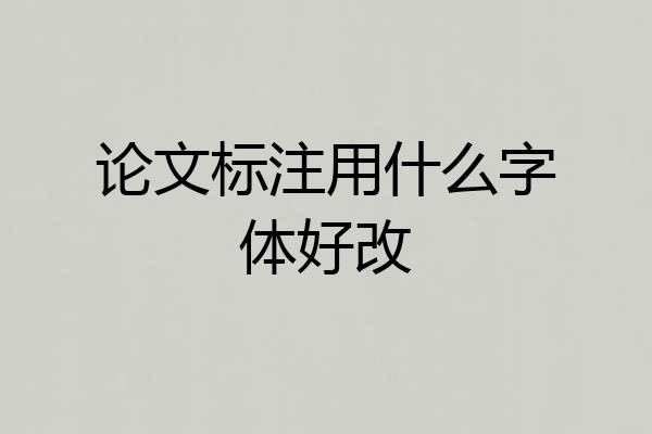 论文标注用什么字体好改