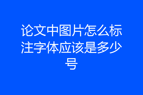 论文中图片怎么标注字体应该是多少号