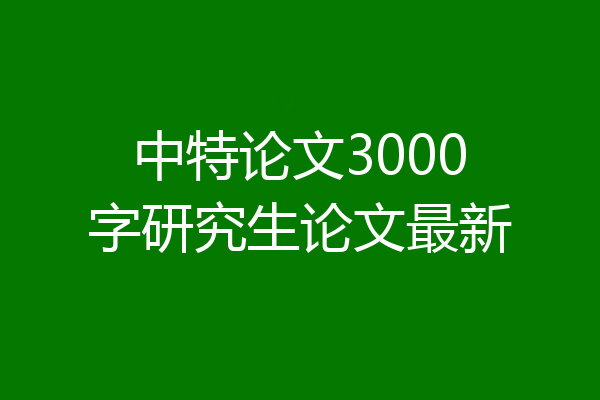 中特论文3000字研究生论文最新