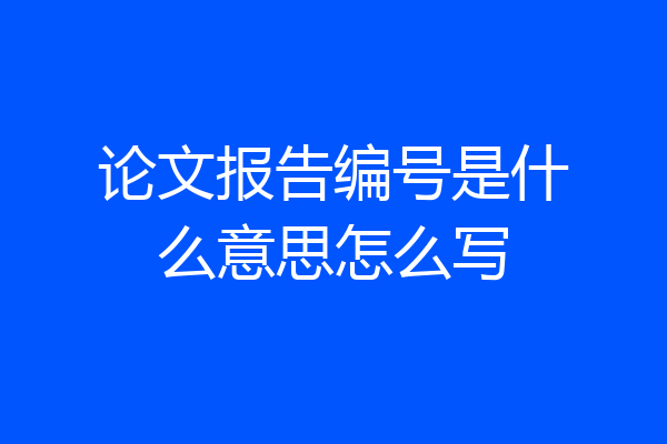 论文报告编号是什么意思怎么写