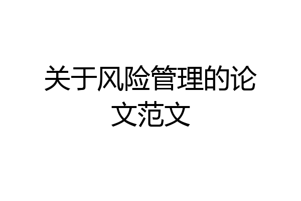 关于风险管理的论文范文