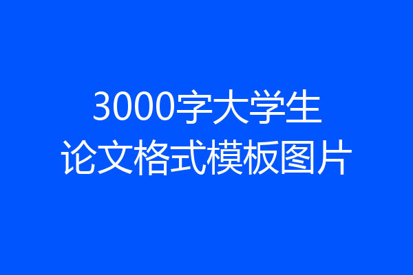 3000字大学生论文格式模板图片