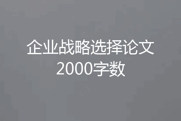 企业战略选择论文2000字数