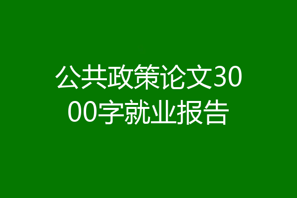 公共政策论文3000字就业报告