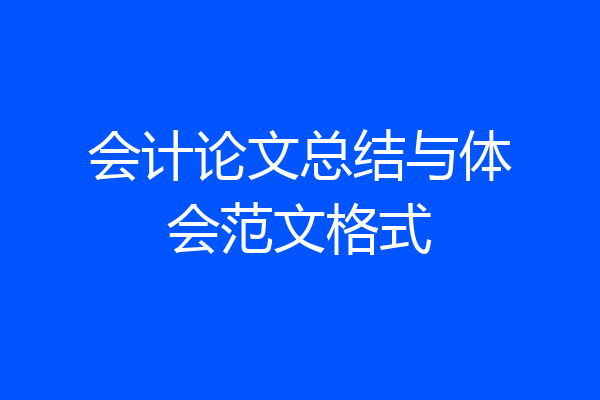 会计论文总结与体会范文格式