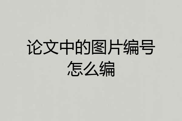 论文中的图片编号怎么编