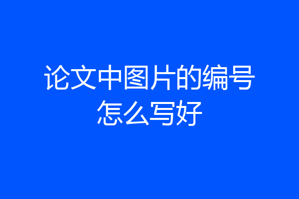 论文中图片的编号怎么写好