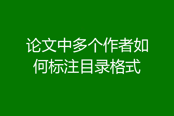 论文中多个作者如何标注目录格式