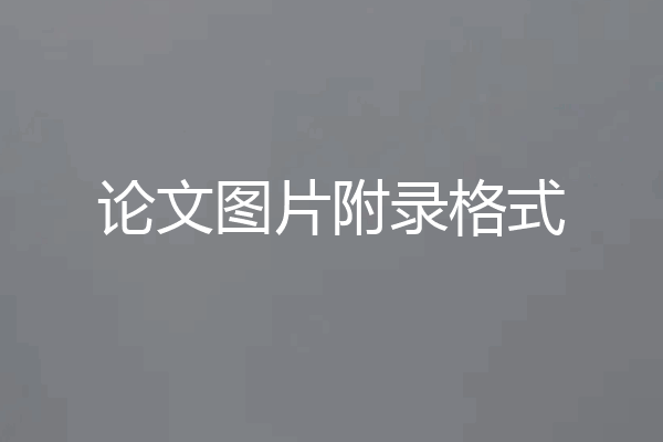 论文图片附录格式