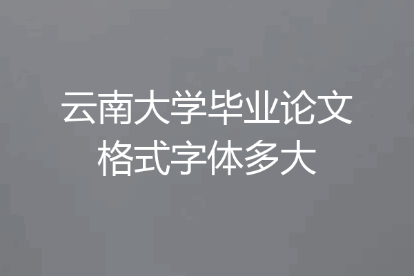 云南大学毕业论文格式字体多大