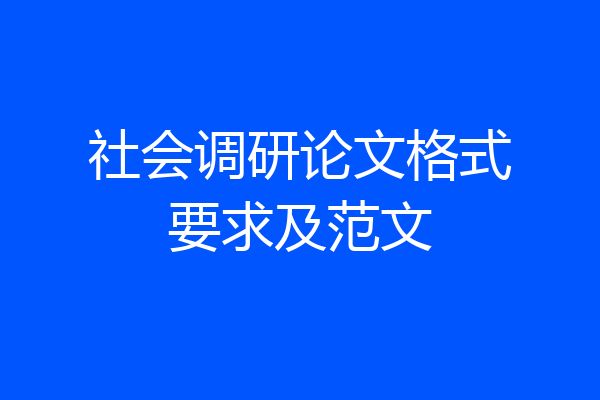 社会调研论文格式要求及范文