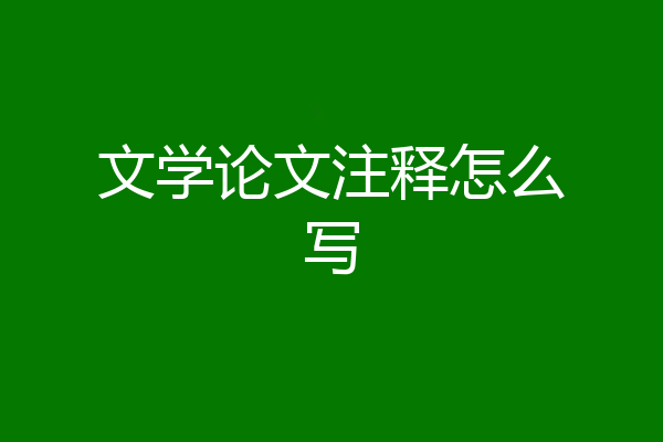 文学论文注释怎么写