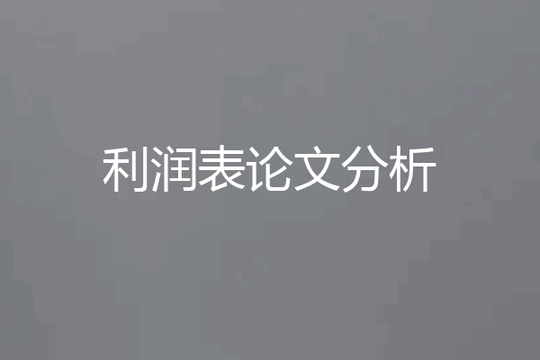 利润表论文分析