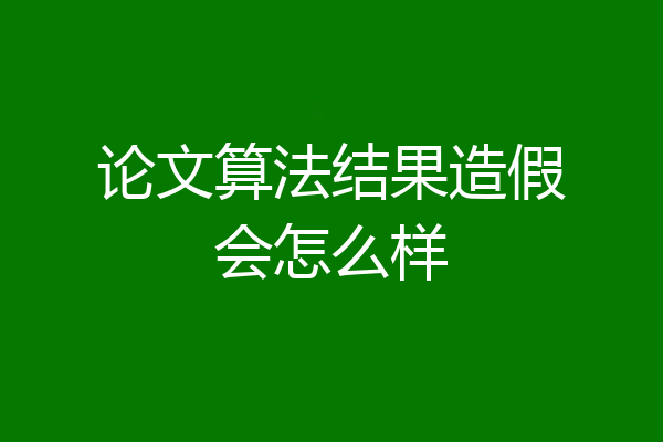 论文算法结果造假会怎么样