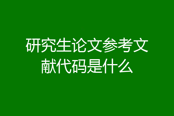 研究生论文参考文献代码是什么