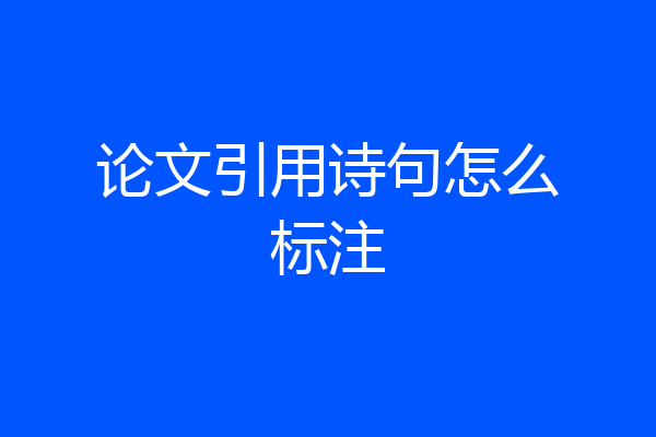 论文引用诗句怎么标注