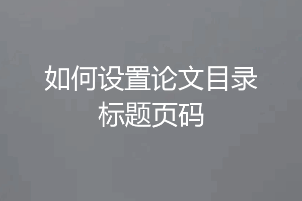 如何设置论文目录标题页码