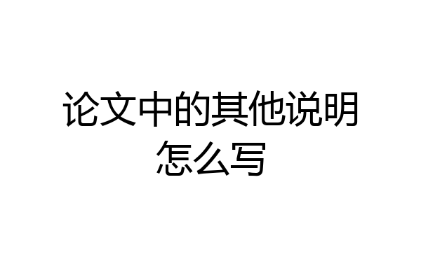 论文中的其他说明怎么写