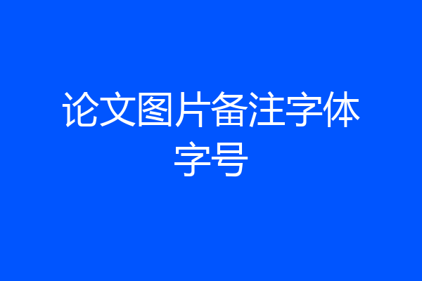论文图片备注字体字号
