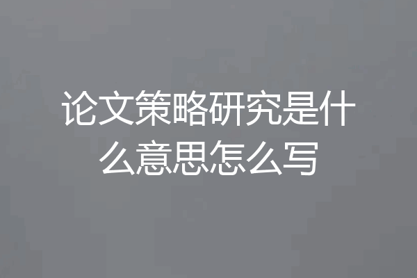 论文策略研究是什么意思怎么写