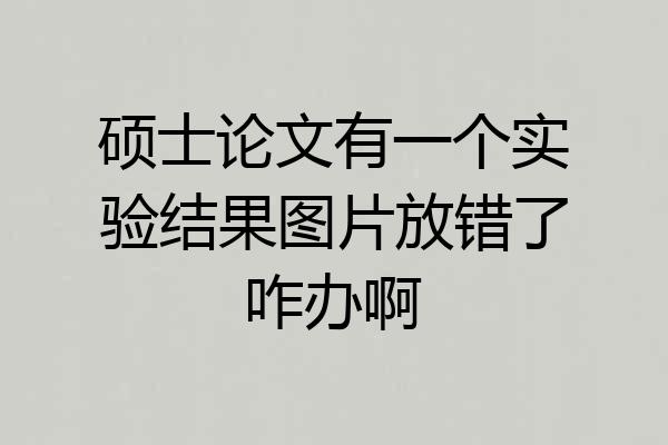 硕士论文有一个实验结果图片放错了咋办啊