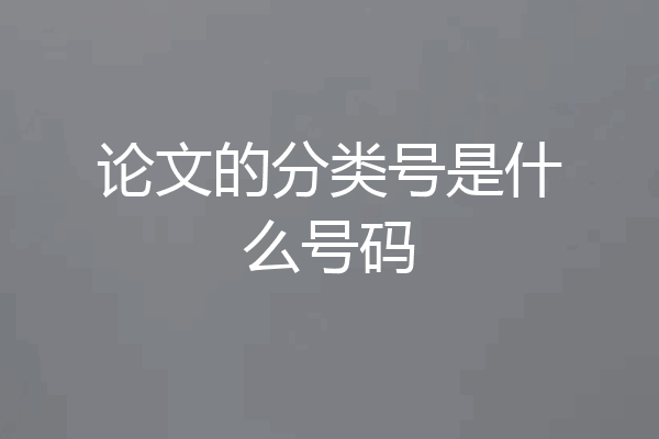 论文的分类号是什么号码