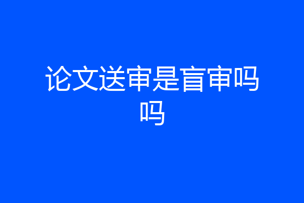 论文送审是盲审吗吗