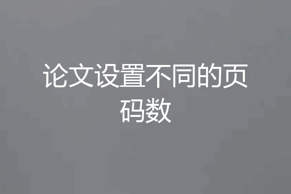论文设置不同的页码数