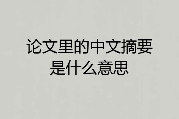 论文里的中文摘要是什么意思