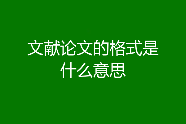 文献论文的格式是什么意思