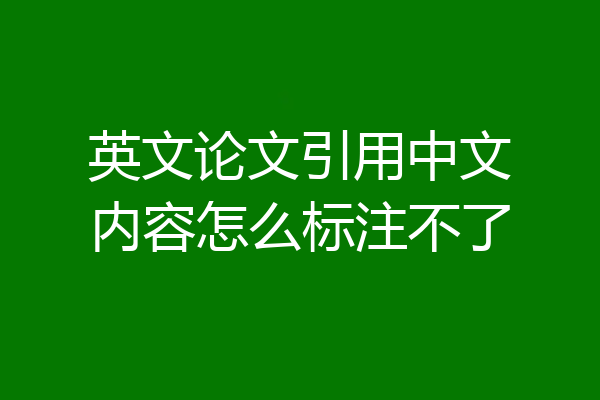英文论文引用中文内容怎么标注不了