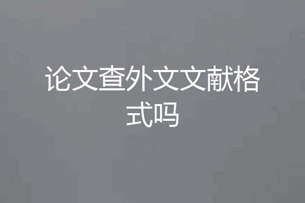 论文查外文文献格式吗