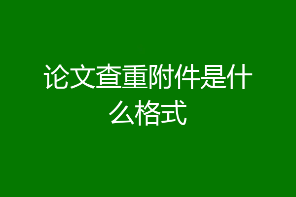 论文查重附件是什么格式