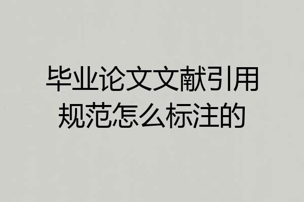 毕业论文文献引用规范怎么标注的