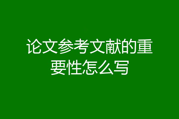 论文参考文献的重要性怎么写