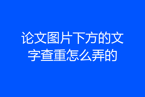 论文图片下方的文字查重怎么弄的
