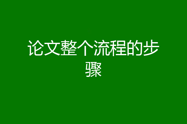 论文整个流程的步骤
