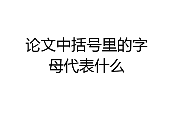 论文中括号里的字母代表什么