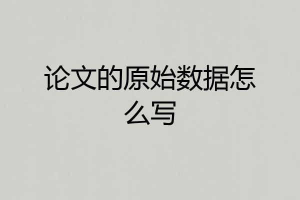 论文的原始数据怎么写