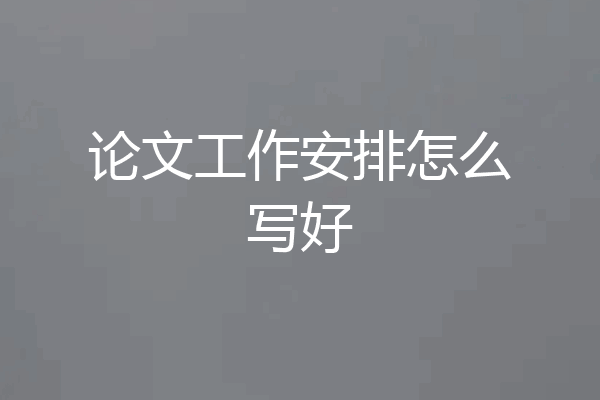 论文工作安排怎么写好