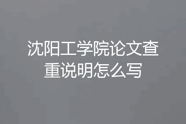沈阳工学院论文查重说明怎么写