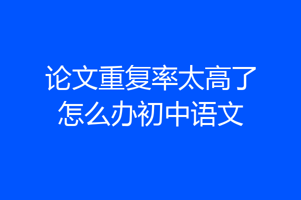 论文重复率太高了怎么办初中语文