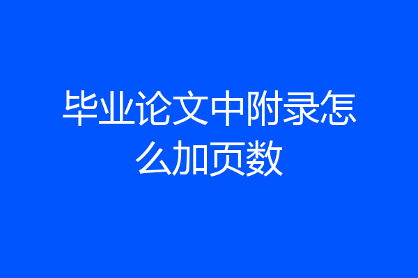 毕业论文中附录怎么加页数