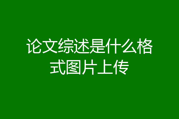 论文综述是什么格式图片上传
